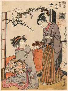 Samurai (Shi) fra serien Beauties Illustrating the Four Social Classes (Adesugata shi no ko sho) af Torii Kiyonaga