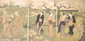 Unge damer ser kirsebærblomster i Asukayama. af Torii Kiyonaga