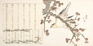 Bush Warbler on a Plum Branch Ume ni uguisu, begyndelsen af det 19. århundrede.