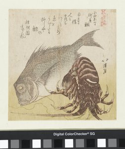 Havbarsen i Yanagiya i Odawara Chô Odawara Chô Yanagiya tai (titel på objekt) Berømte produkter fra Edo (serietitel) Edo meibutsu (serietitel på objekt) af Totoya Hokkei