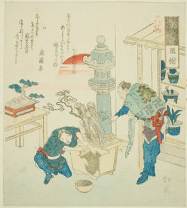 Potteplante (Ueki), fra serien "Eighteen Illustrations of the Ladder of Ancient Words (Kogentei juhachiban tsuzuki)" af Totoya Hokkei