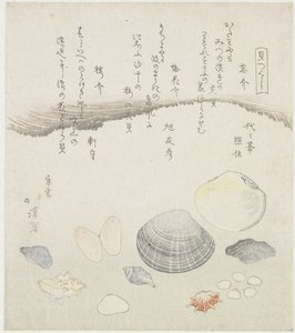 Glemt skal, blommeblomstskal og kirsebærskal Wasuregai, umenohanagai, sakuragai (titel på objekt) En serie af skaller (serietitel) Kaitsukushi (serietitel på objekt) af Totoya Hokkei