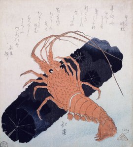 Langoustine med en blok af trækul, ca. 1830 (træblok i farver) af Toyota Hokkei