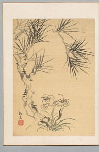 Pine Tree and Fungus, 1800-tallet. af Tsubaki Chinzan