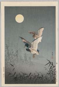 Tokyo Udsigt: Ænder af Tsuchiya Kōitsu