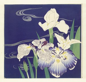 Iriser, 1890-1900 (træbloktryk)