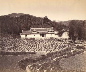 Teafield & Josshouse i Peling, ca. 1869. af Tung Hing.