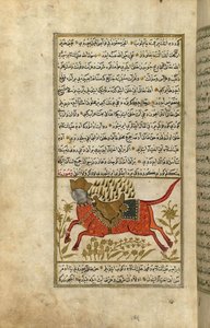 Buraq, profeten Muhammeds hest (blæk og pigmenter på europæisk lagt papir)