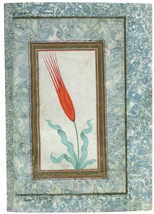 Page from the Turkish Tulip album, Istanbul, 1725dani af Turkish School