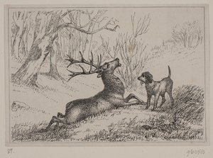 Illustration til digtet "Hjorten" af Gotfred Rode af Ubekendt