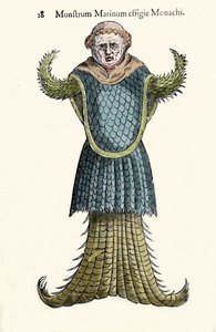 Havmunken, imaginære fisk og havmonster af Ulisse Aldrovandi (1522-1605), "Monstrorum Historiae", Bologna 1642