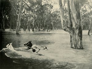 En bankmand, 1901. af Unbekannt