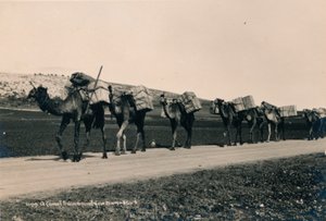 Et kameltog på vej til Damaskus, 1936 af Unbekannt