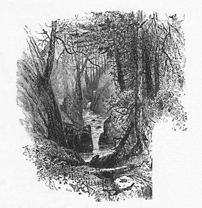 En foder til søen, 1883 af Unbekannt