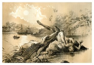 En frygtelig hændelse, 1883 af Unbekannt