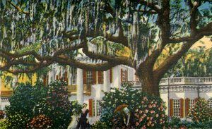 A Mansion in the Carolinas, 1942. af Unbekannt