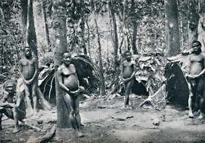 En pygmælandsby, North-East Congo Basin, 1912 af Unbekannt