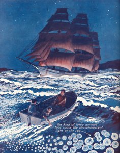 Et hav oplyst af levende nattelys, 1935 af Unbekannt