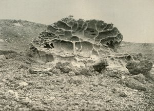 A Weather Kenyte Boulder Nær Winter Quarters, c1908, 1909. af Unbekannt
