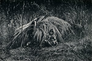 En Yaghan-hytte i Fuegia, 1911 af Unbekannt