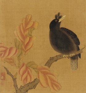 En solsort på en gren, efterårsblade, Qing-dynastiet, 1700-tallet. af Unbekannt
