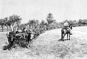 En konvoj af vogne, Sydamerika, 1895 af Unbekannt