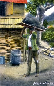 En mand på vej til markedet for at sælge en gris, Jamaica, omkring 1900-tallet af Unbekannt