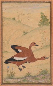 Et par brahminænder, ca. 1595, grænser tilføjet sandsynligvis 1800-tallet. af Unbekannt