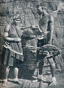 Et par Zulu-elskere, 1912 af Unbekannt