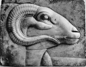 Et vædderhoved, Egypten, 1936 af Unbekannt