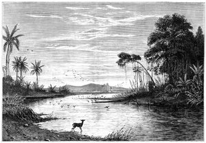 En flodscene i Venezuela, 1877 af Unbekannt
