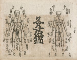 Akupunkturkort over menneskekroppen, der viser moxibustionspunkter (Moxabustion-diagram, der viser, hvor aber bør undgås af Unbekannt