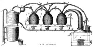 Adams still, 1886 af Unbekannt