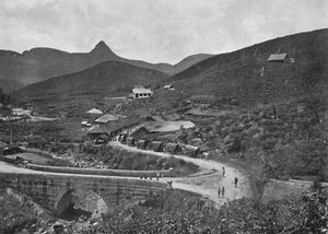 Adamspik og Brownlow Tea Plantation, 1926 af Unbekannt