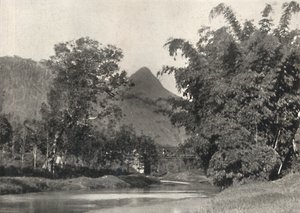 Adamspik fra Maskeliya-området, 1926 af Unbekannt