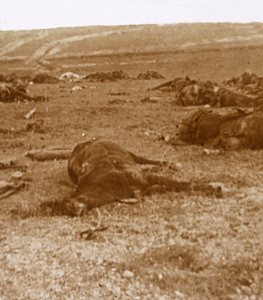 Efter anklagen, Beauséjour, Nordfrankrig, c1914-c1918 af Unbekannt