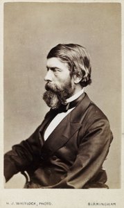 Alexander William Williamson, skotsk kemiker, c 1865 af Unbekannt