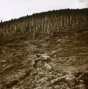 Alsace, c1914-c1918 af Unbekannt