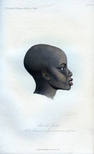 Amochi Galla, et portræt af en Galla, 1848 af Unbekannt