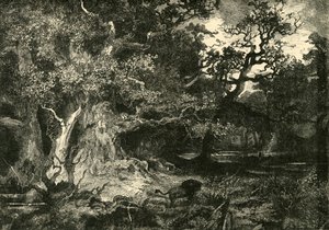 En gammel tysk skov, 1890. af Unbekannt