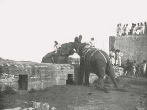 En elefantkamp, Hyderabad, Indien, 1895. af Unbekannt