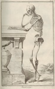Anatomi. Fra Encyclopédie af Denis Diderot og Jean Le Rond dAlembert, 1751-1765. af Unbekannt