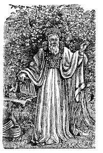 Gammel britisk ærke-druid iført dommens brystplade, c1900 af Unbekannt