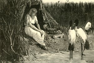 Anysis skjult i deltaets moser, 1890. af Unbekannt