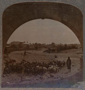 Akvædukt, der viser Jeriko gennem Arch, c1900 af Unbekannt