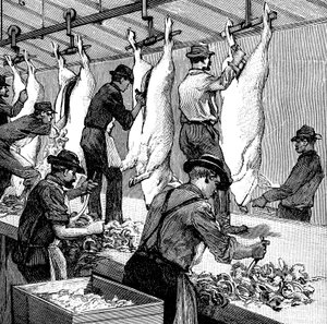 Armour Companys svineslagteri, Chicago, Illinois, USA, 1892 af Unbekannt