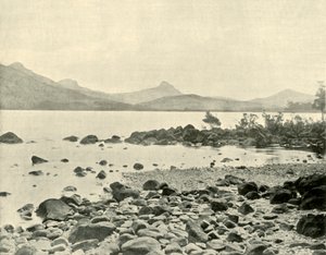 Ved Lake St. Clair, 1901. af Unbekannt