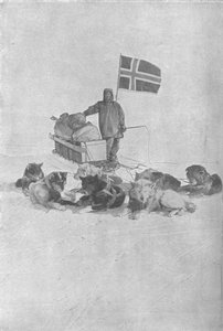 På Sydpolen, 1911, 1928 af Unbekannt