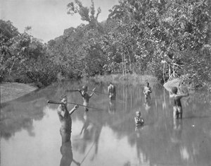 Australske aboriginer, der spyr fisk, 1800-tallet af Unbekannt