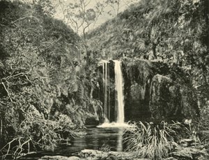 Back Creek Falls, Buchan River, Victoria, 1901. af Unbekannt